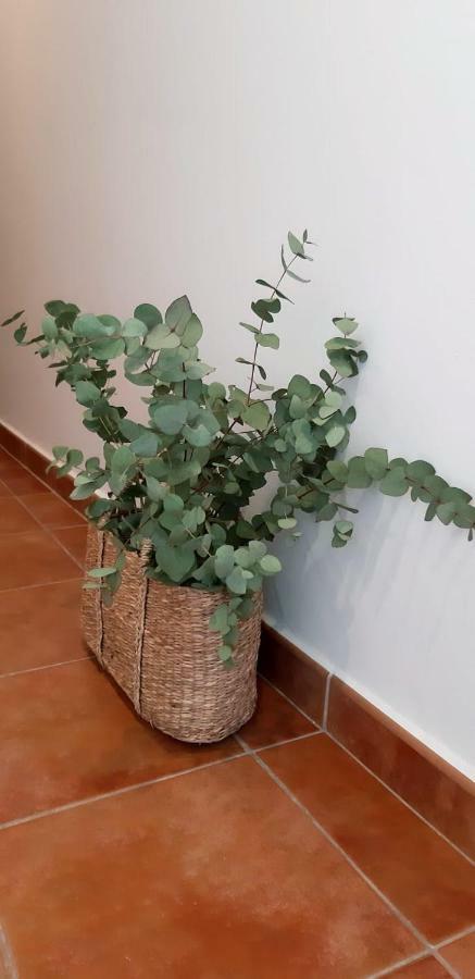 Hostal Sa Posada Set Cales Ciutadella  Luaran gambar